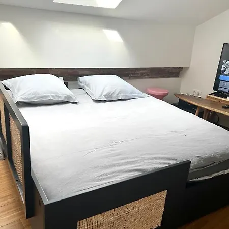 Au Centre De Apartman Toulouse